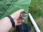 thumbs/100_0465.jpg