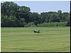 Harsewinkel 20040018.JPG