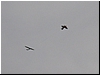 Harsewinkel 20040163.JPG