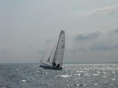 thumbs/p1030836.jpg.jpg