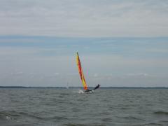 thumbs/p1030874.jpg.jpg