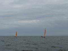 thumbs/p1030888.jpg.jpg